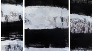 Reh verloren I, Triptychon, 2015, Mischtechnik (Foto, übermalt, Collage) auf Leinwand, 150x200